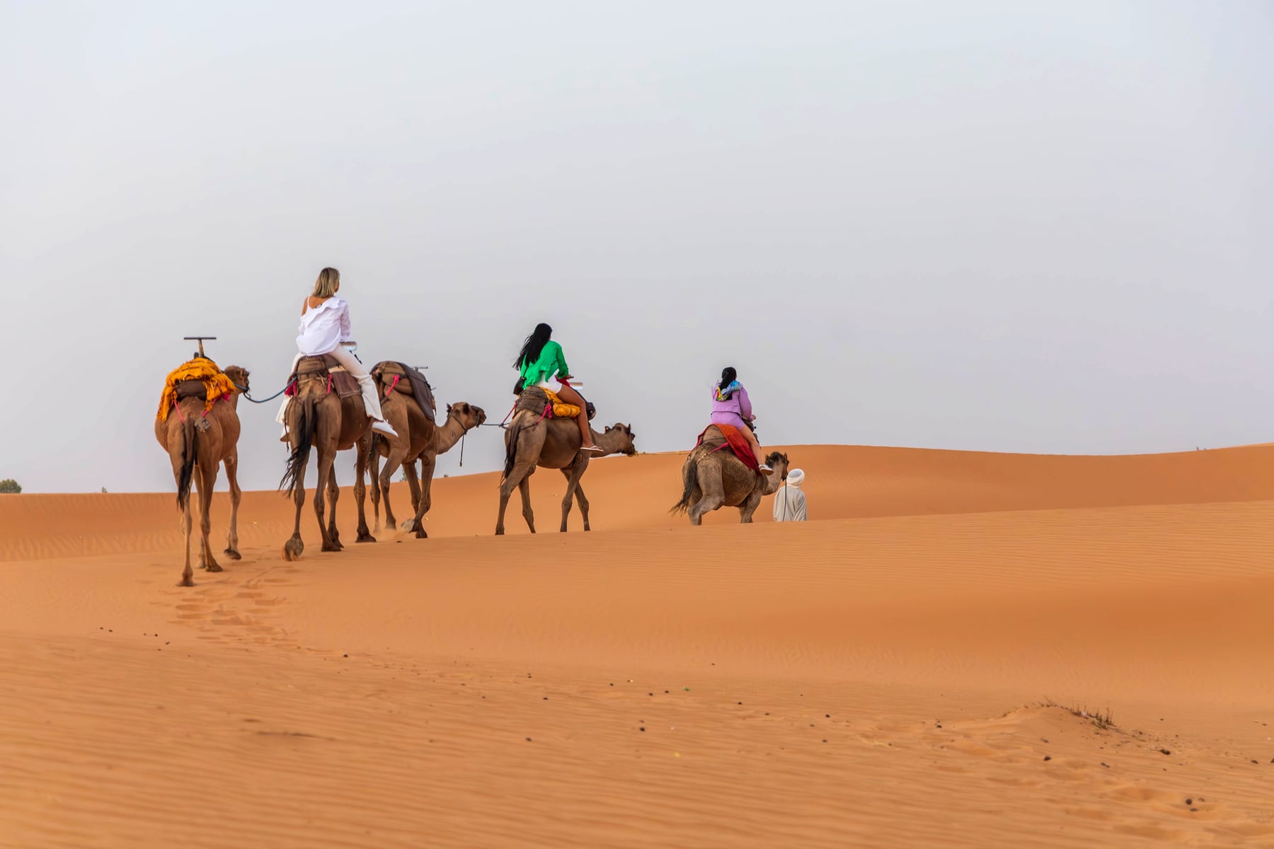 Three travelers riding camels in a line across the Erg Chebbi dunes led by a camel guide