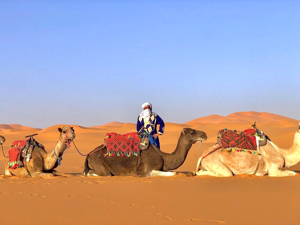 Camel Trekking in Merzouga: What It's Really Like