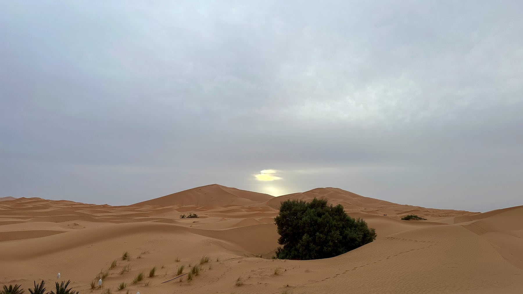 Morocco Grand Circuit: Desert & Coast in 12 Days