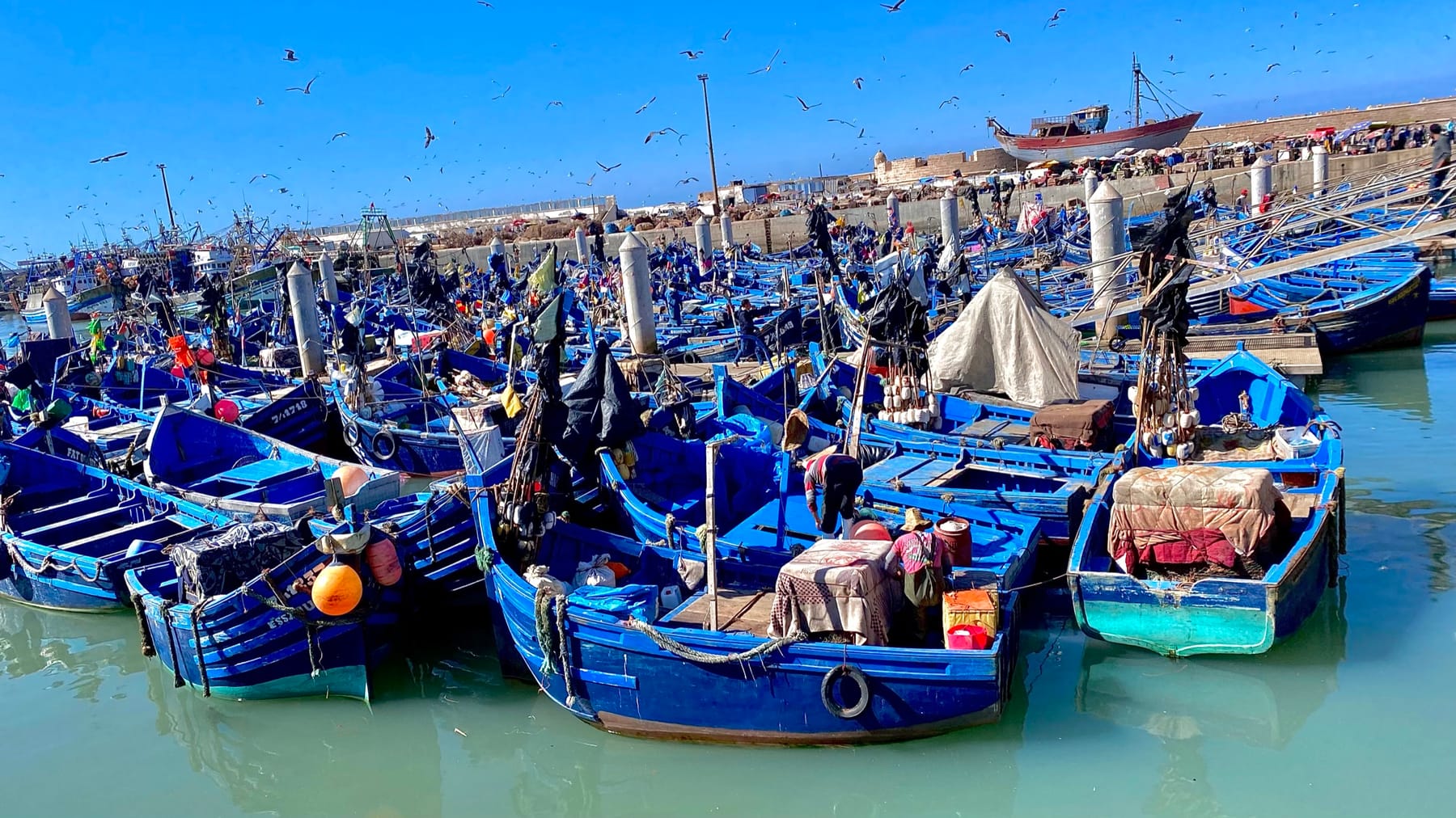 Essaouira: Morocco's Laid-Back Atlantic Port Town