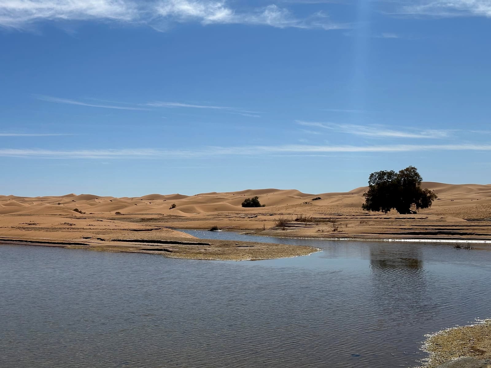 Dayet Srij, a seasonal desert lake near Merzouga, with the Erg Chebbi dunes behind