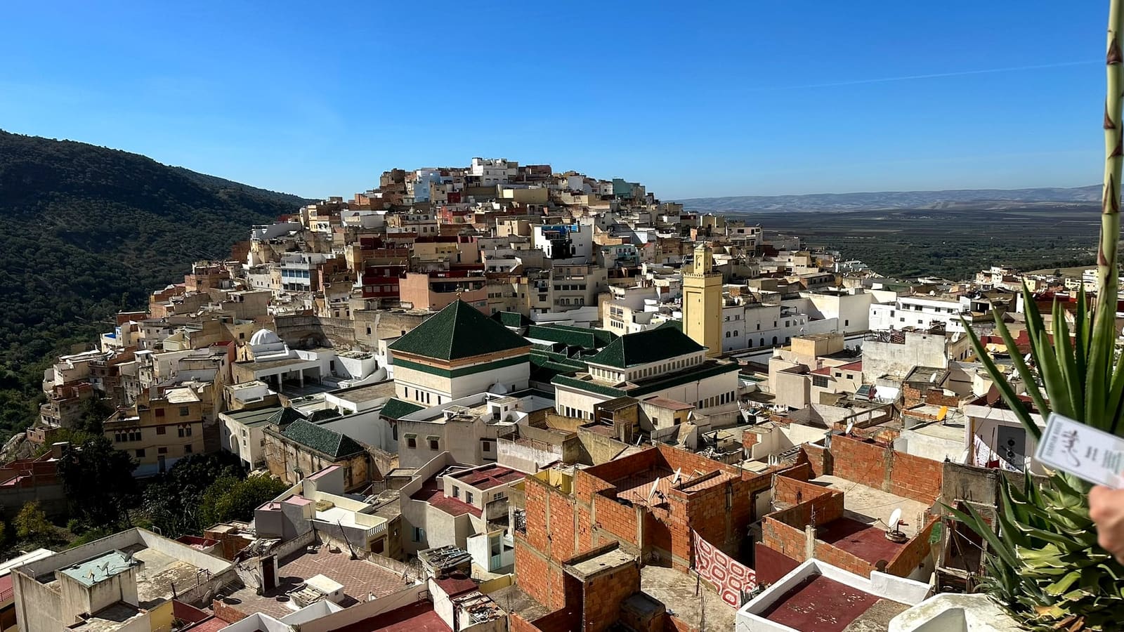 Morocco Imperial Cities & Sahara Desert Tour: 9 Days from Tangier to Marrakech